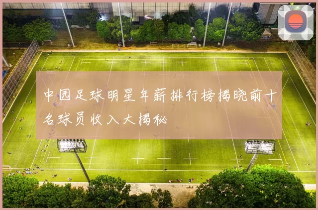 中园足球明星年薪排行榜揭晓前十名球员收入大揭秘