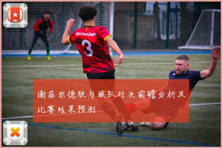 谢菲尔德联与狼队对决前瞻分析及比赛结果预测
