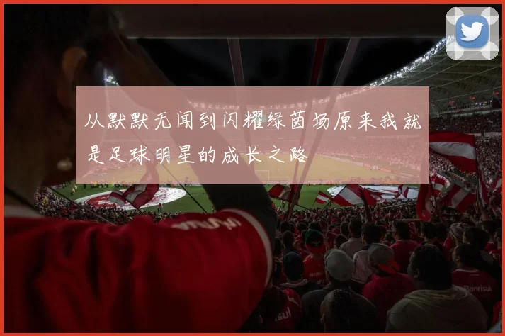 从默默无闻到闪耀绿茵场原来我就是足球明星的成长之路