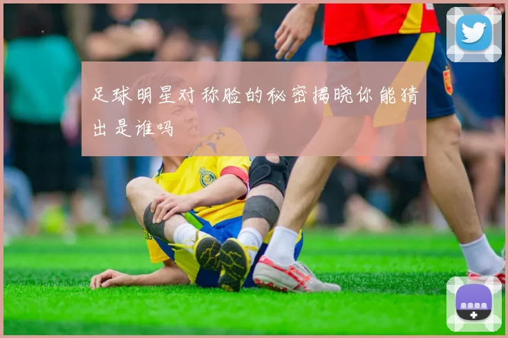 足球明星对称脸的秘密揭晓你能猜出是谁吗
