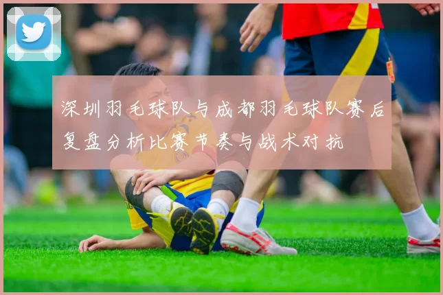 深圳羽毛球队与成都羽毛球队赛后复盘分析比赛节奏与战术对抗