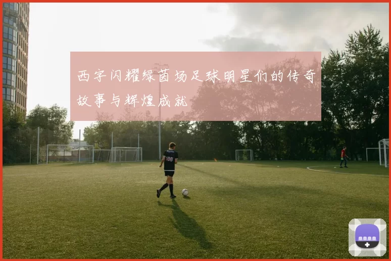 西字闪耀绿茵场足球明星们的传奇故事与辉煌成就