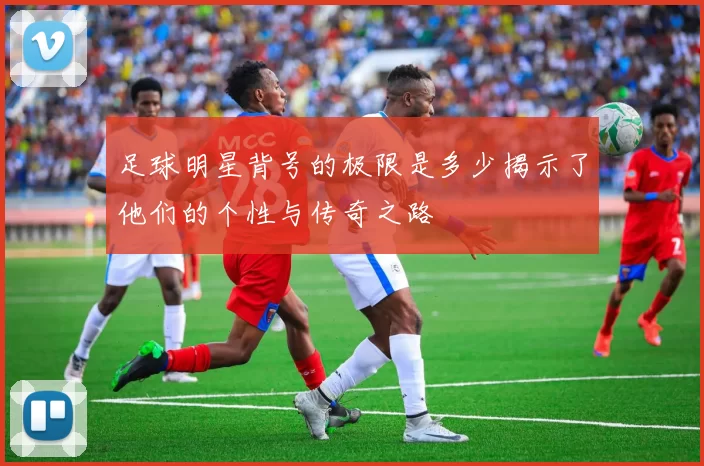 足球明星背号的极限是多少揭示了他们的个性与传奇之路