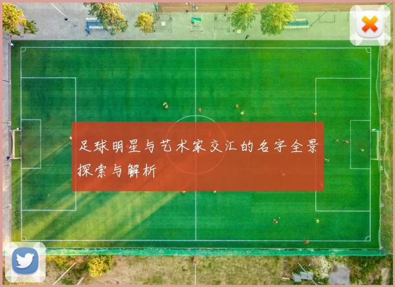 足球明星与艺术家交汇的名字全景探索与解析