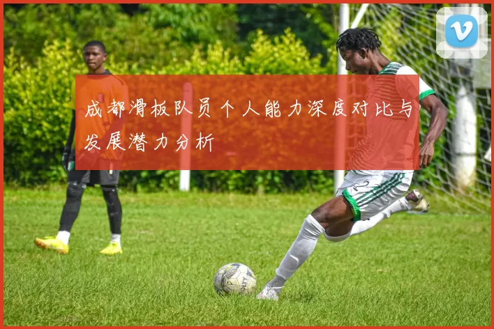成都滑板队员个人能力深度对比与发展潜力分析