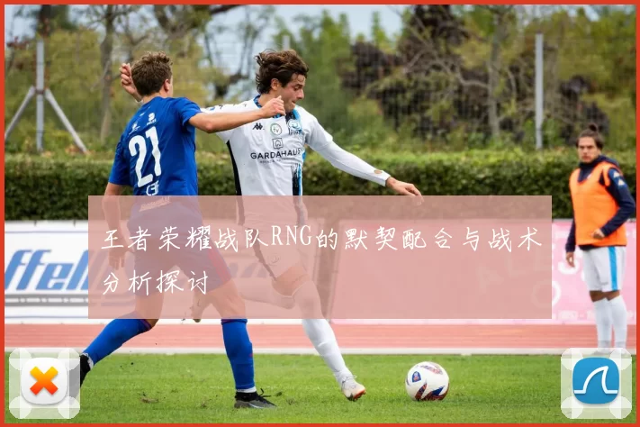 王者荣耀战队RNG的默契配合与战术分析探讨