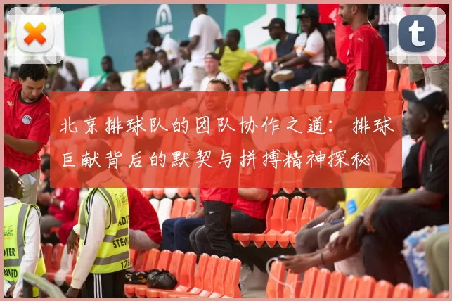 北京排球队的团队协作之道：排球巨献背后的默契与拼搏精神探秘