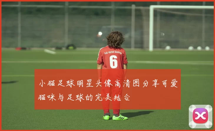 小猫足球明星头像高清图分享可爱猫咪与足球的完美结合