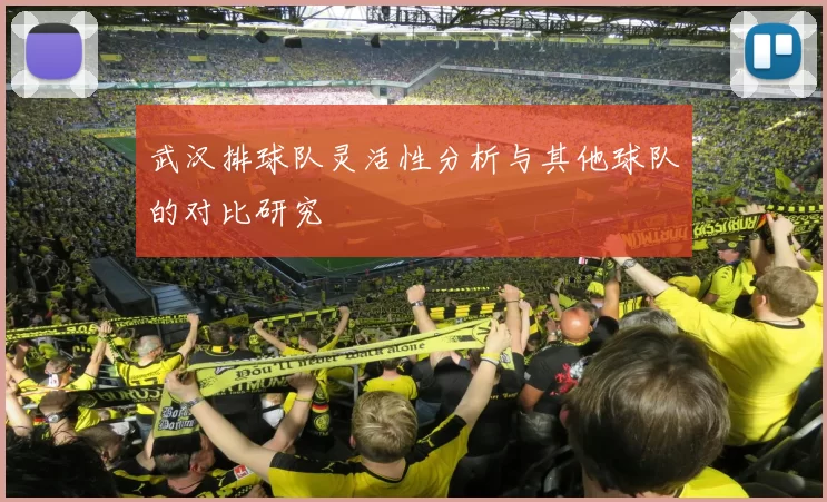 武汉排球队灵活性分析与其他球队的对比研究