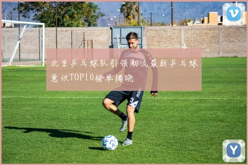 北京乒乓球队引领潮流最新乒乓球意识TOP10榜单揭晓