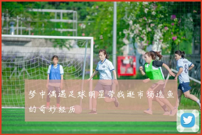 梦中偶遇足球明星带我逛市场选鱼的奇妙经历