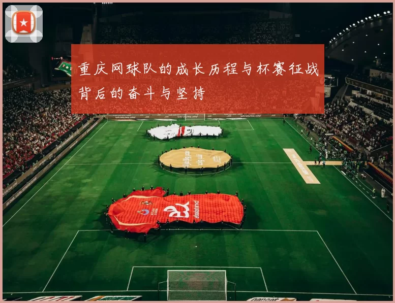 重庆网球队的成长历程与杯赛征战背后的奋斗与坚持