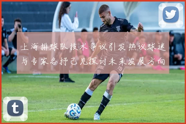 上海排球队技术争议引发热议球迷与专家各抒己见探讨未来发展方向