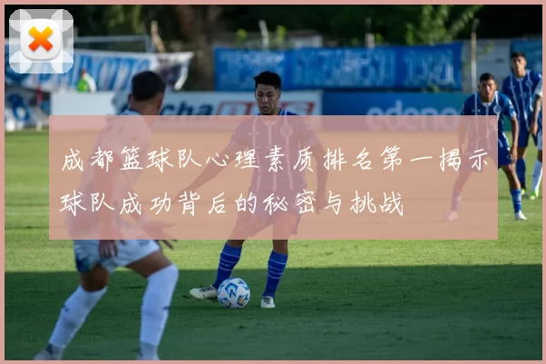 成都篮球队心理素质排名第一揭示球队成功背后的秘密与挑战