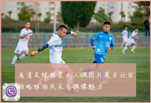 高清足球明星大人偶图片展示让你领略球场风采与偶像魅力