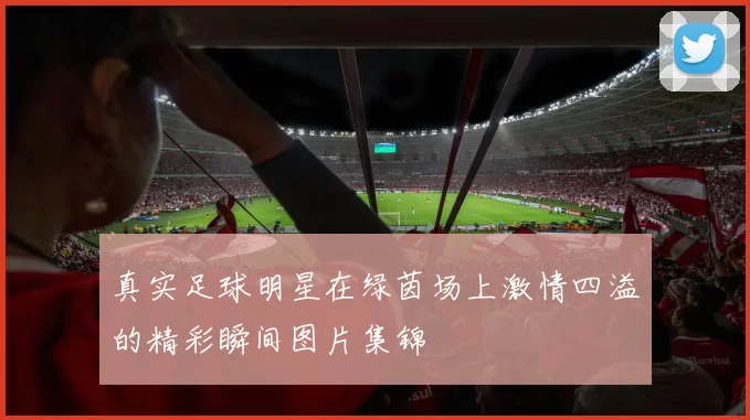 真实足球明星在绿茵场上激情四溢的精彩瞬间图片集锦