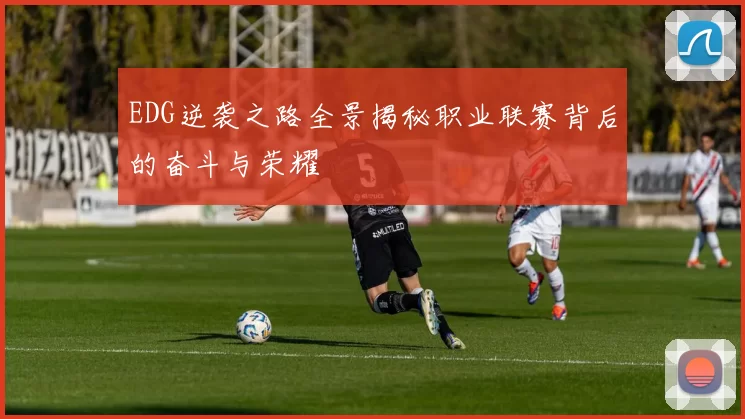 EDG逆袭之路全景揭秘职业联赛背后的奋斗与荣耀