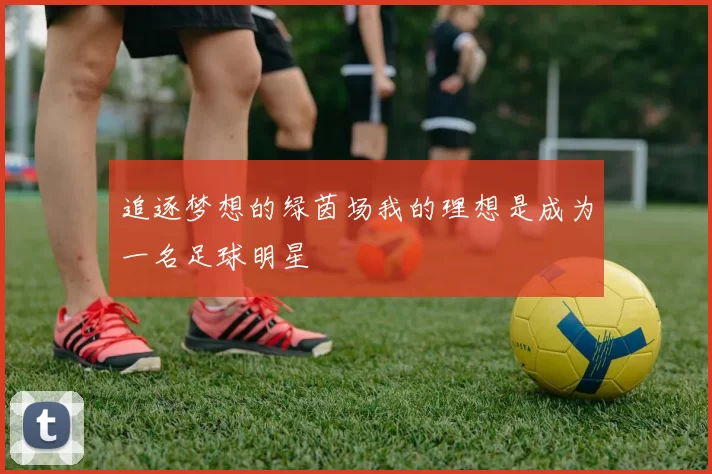 追逐梦想的绿茵场我的理想是成为一名足球明星