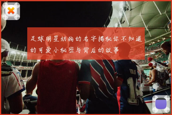 足球明星奶狗的名字揭秘你不知道的可爱小秘密与背后的故事